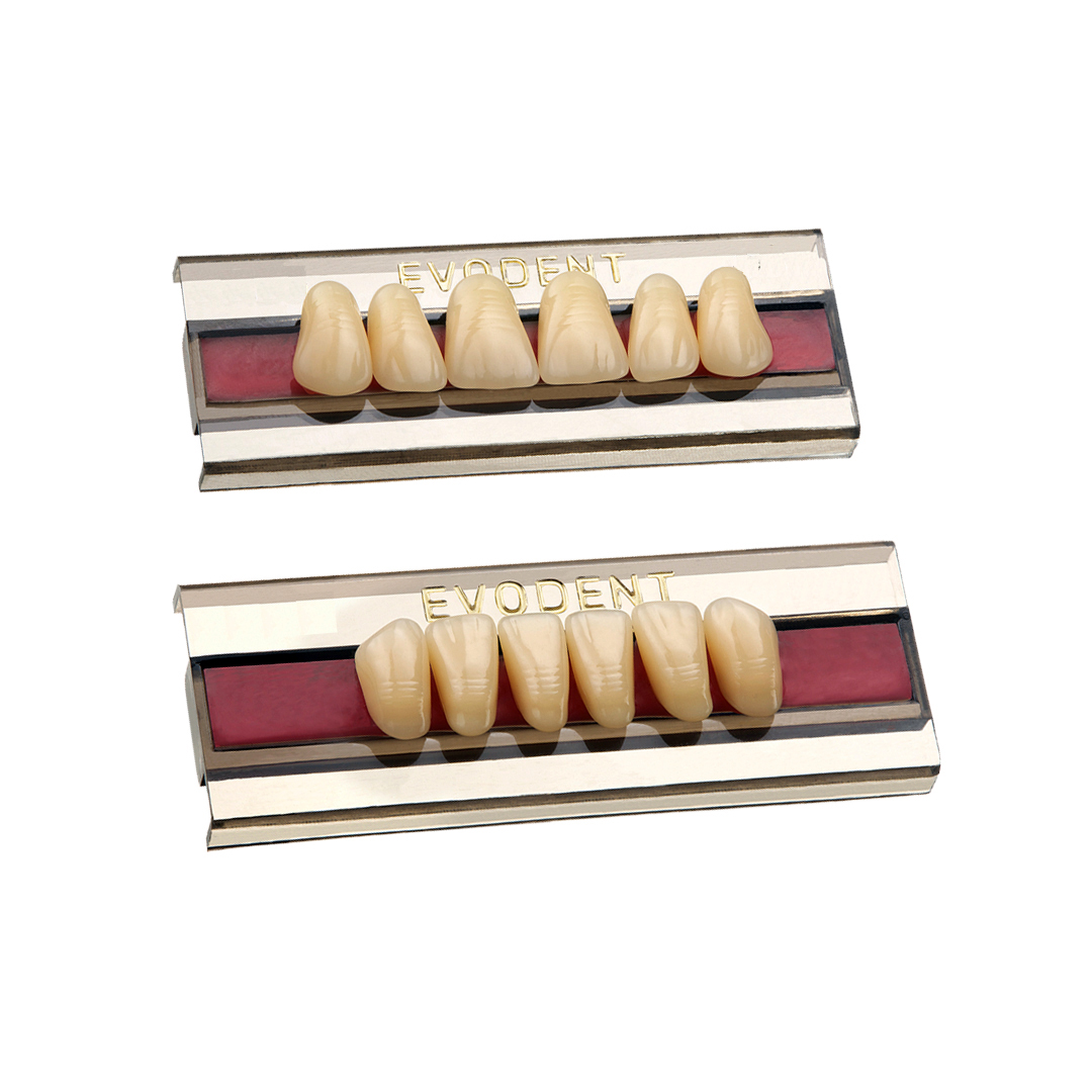 Dentes Evodent